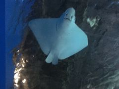 -常州海昌海洋探索馆