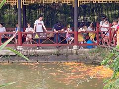 -武汉紫薇都市田园