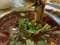 -高坎一品甲鱼庄(两河店)