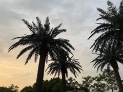 -上海玛雅海滩水公园