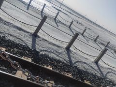 -青海茶卡盐湖文化旅游发展股份有限公司