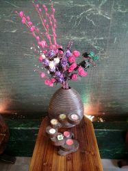 -脉道美容养生会所