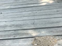 -东钱湖阳光沙滩