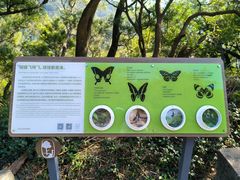 -梧桐山风景名胜区