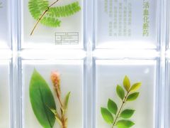 -广东中医药博物馆