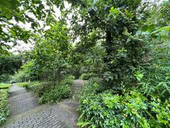 -铁山坪森林公园