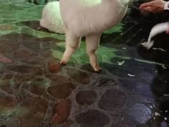 -哈尔滨极地公园
