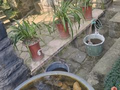 -南山植物园