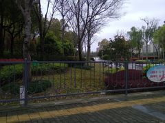 -南翔镇银翔湖公园