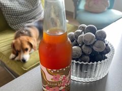 红香槟气泡冷萃-粉锤咖啡FENCHUI