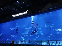 -烟台海昌鲸鲨海洋公园