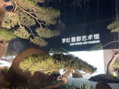 -罗红摄影艺术馆