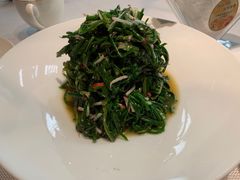 腌汤苦菜沙葱-巴盟人家·内蒙地方菜(华丽家族店)