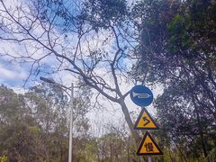 -火炉山森林公园