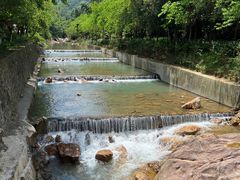 -广州白江湖森林公园