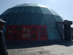 -上海都市菜园