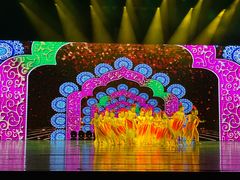 -舞蕾舞蹈(特长生校区)