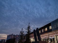 -维乐口腔医院(星海湾分院)