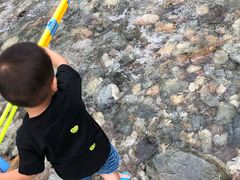 -虹口漂流