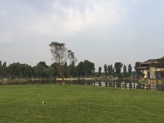 -林栖谷森林康养度假区