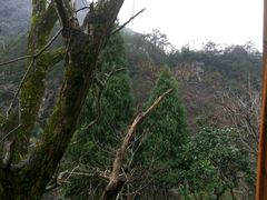 -岭上人家金屋瑶筐烤全羊(永嘉店)