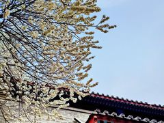 -雍和宫(地铁站)
