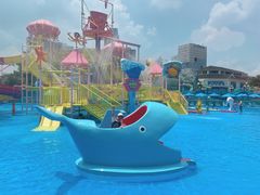 -海合安成都极地海洋公园