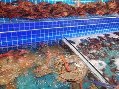 水产区-乔哥铭洋海鲜自助(皇城恒隆广场店)