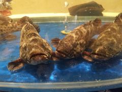 -海景壹号大酒店(滨湖店)