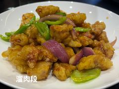东北溜肉段-李记饺子·熏酱东北菜(欢乐谷店)