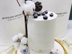 -Biteology Artisan Cakes(红庄·国际文化保税创新园店)
