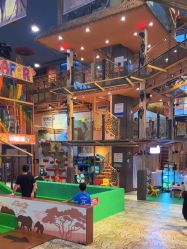 -卡通尼·Safari非洲探索乐园·生日会(金桥国际商业广场店)