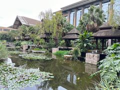 -昆明洲际酒店