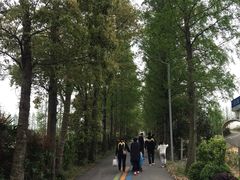 -上海长兴岛郊野公园