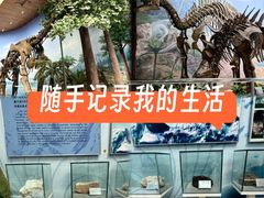 -延庆地质公园博物馆