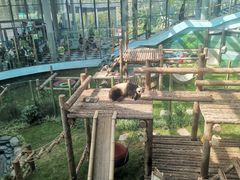 -大连森林动物园