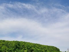 -嘉北郊野公园