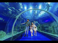 -威海华夏城景区