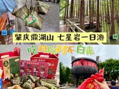 -鼎香皇高佬苏裹蒸粽