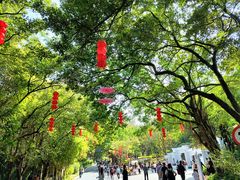 -广州市白云山风景名胜区