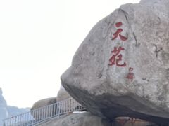 -崂山仰口游览区