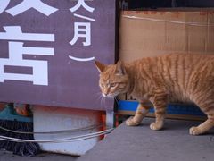 -海窝子古镇