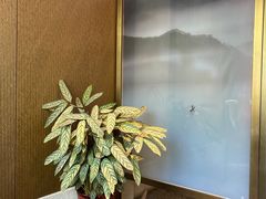 -面辣子·陕西家乡菜(长安店)