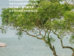 -厦门悦华酒店