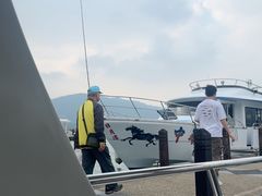 -金盆阿嬷香菇茶叶蛋(玄光店)