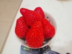 -小鱼草莓采摘园农家乐·小鱼餐厅
