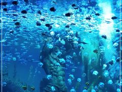 -波塞冬海底世界