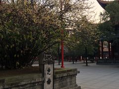 -章华寺