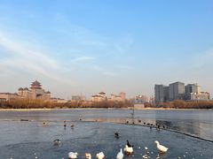 -莲花池公园