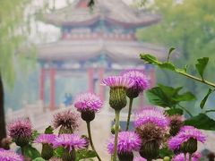 -颐和园